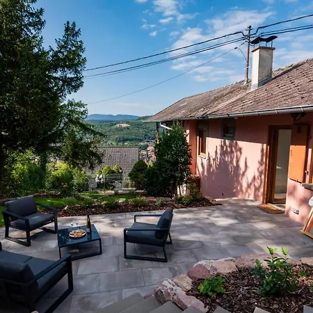 Le Grand Nichoir De La Colline - Parking - Wifi Villa Mutzig Exterior photo