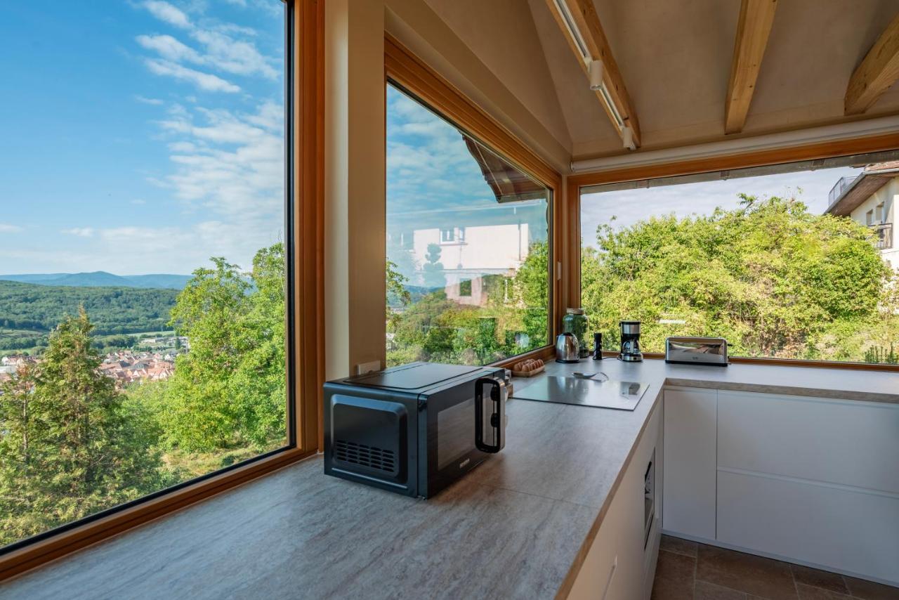 Holiday home Le Grand Nichoir De La Colline - Parking - Wifi Mutzig